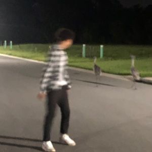 Meet your Posher, Luis